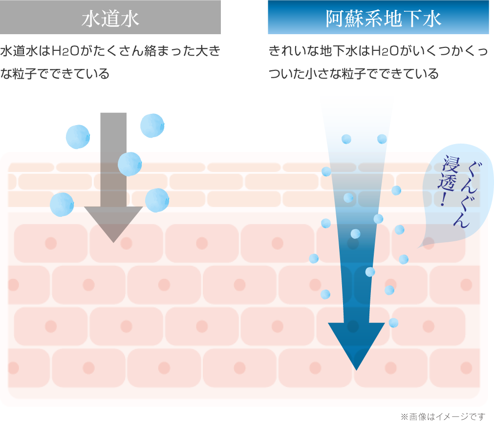 水道水と阿蘇系地下水の違い