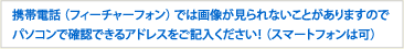 ご確認画像＆商品送信先メールアドレス